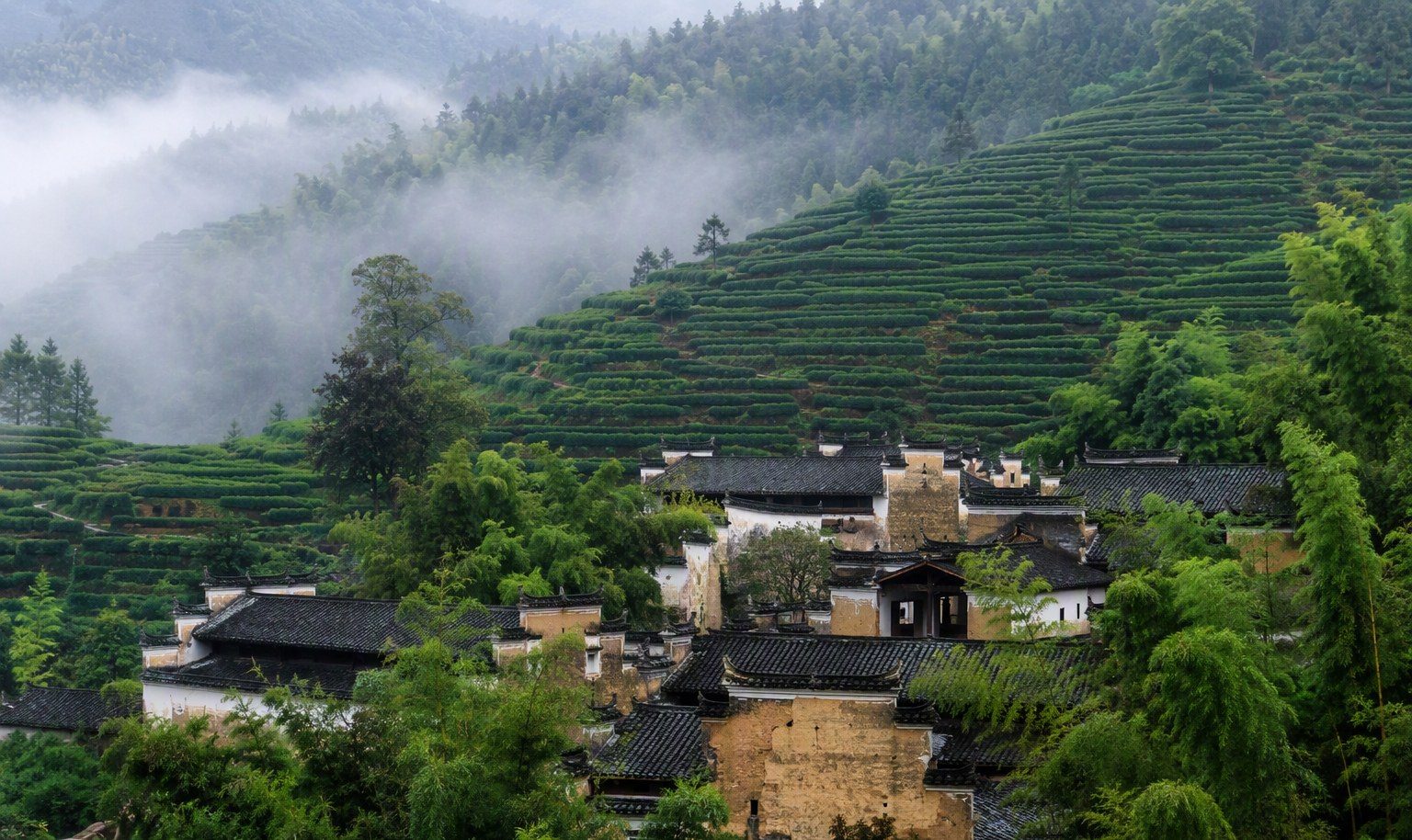 福建武夷山十里芳菲 · 茶香里村